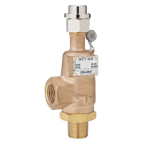 Type RSV Safety Valves