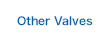 Other Valves